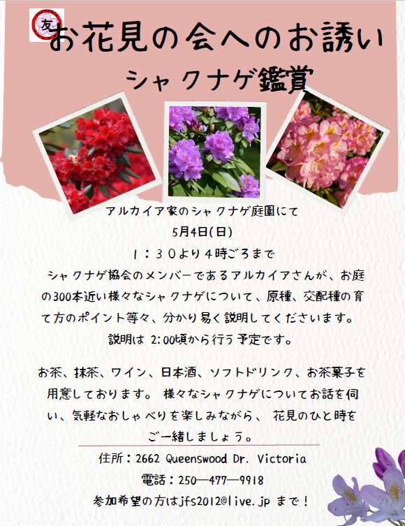 Shakunage_Hanami_Kai